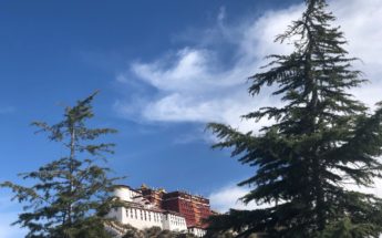 potala Palace Tibet Lhasa